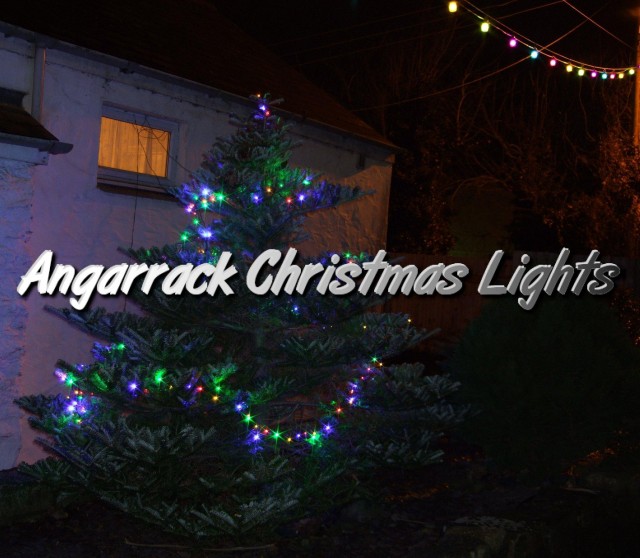 The Bolt's Tree 2009